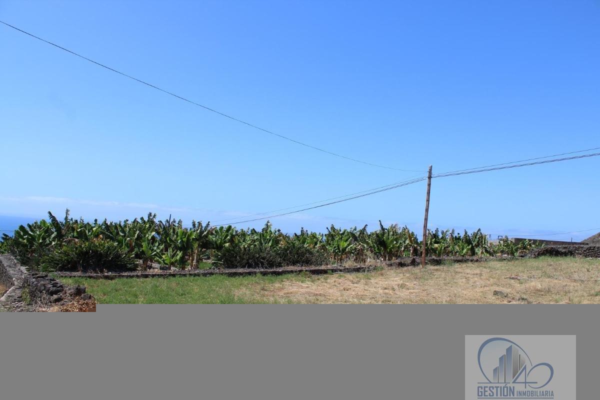 For sale of rural property in La Orotava