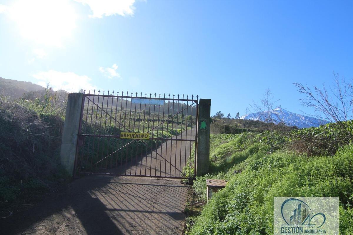 Venta de finca rústica en Los Realejos