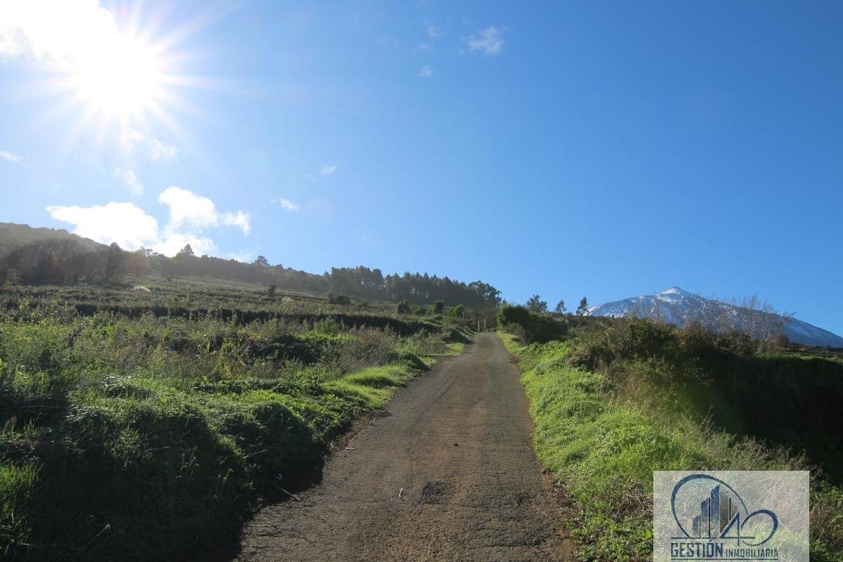 Venta de finca rústica en Los Realejos