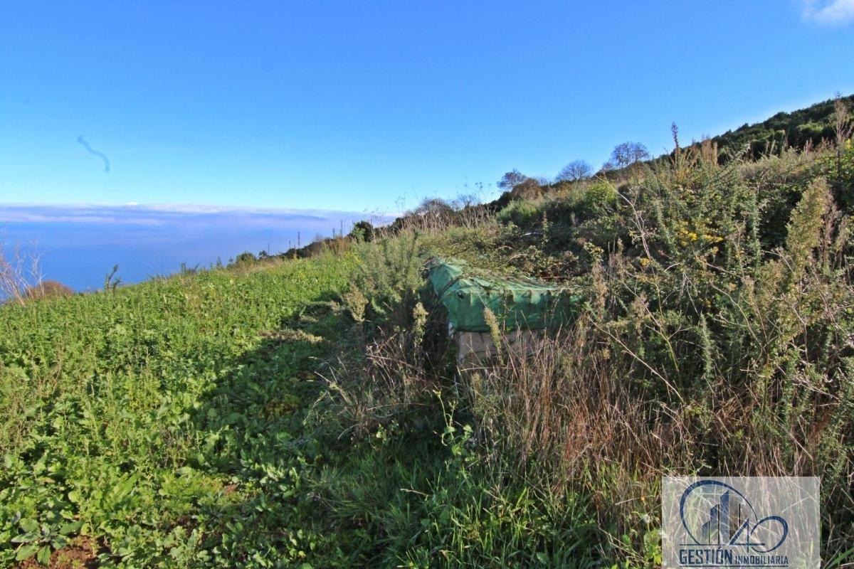 Venta de finca rústica en Los Realejos