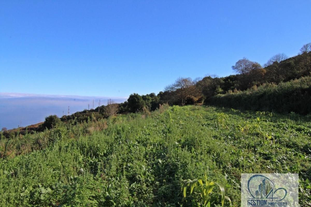 For sale of rural property in Los Realejos