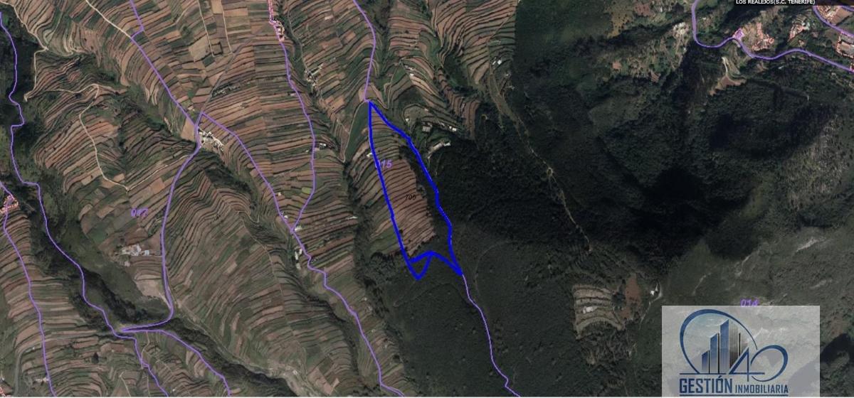 For sale of rural property in Los Realejos