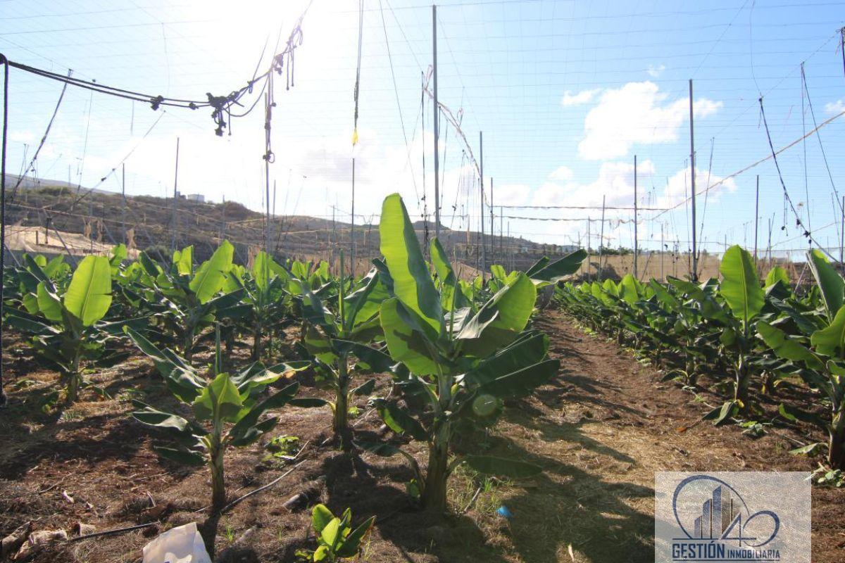 For sale of rural property in Guía de Isora