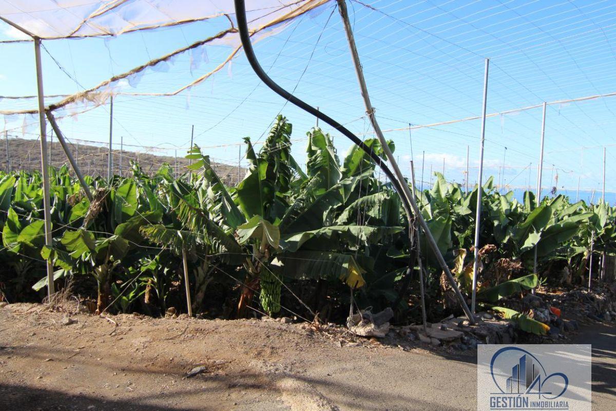 Venta de finca rústica en Guía de Isora