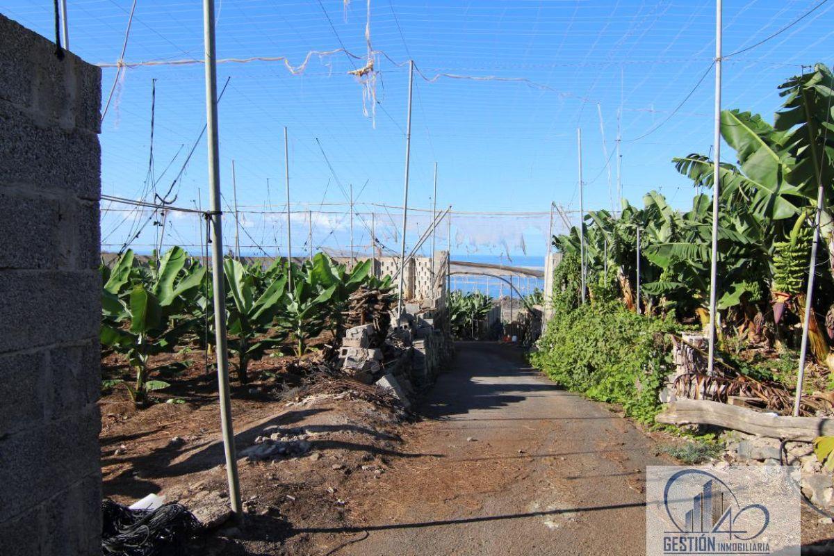 Vendita di proprietà rurale in Guía de Isora