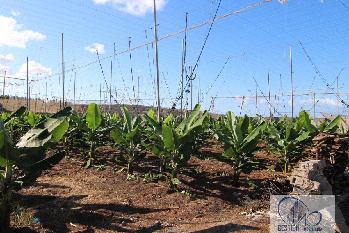 Finca en venta en Guía de Isora, Guia de Isora