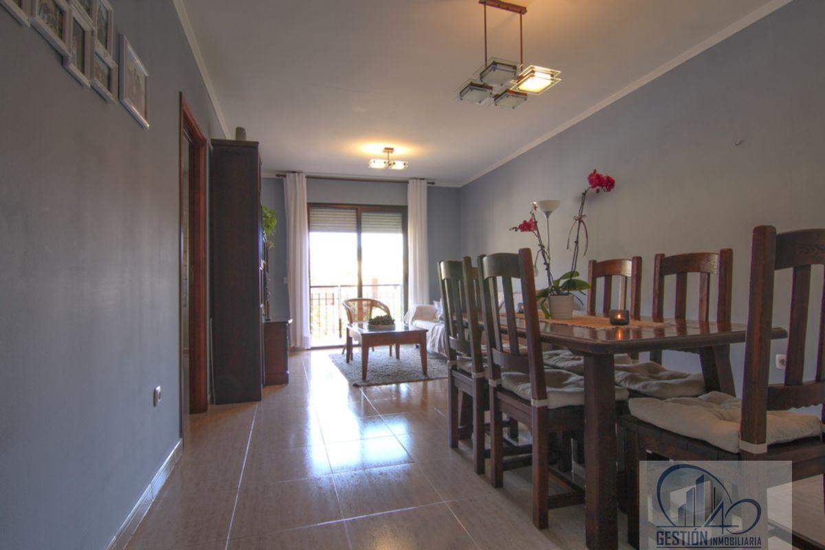 Salón Salón