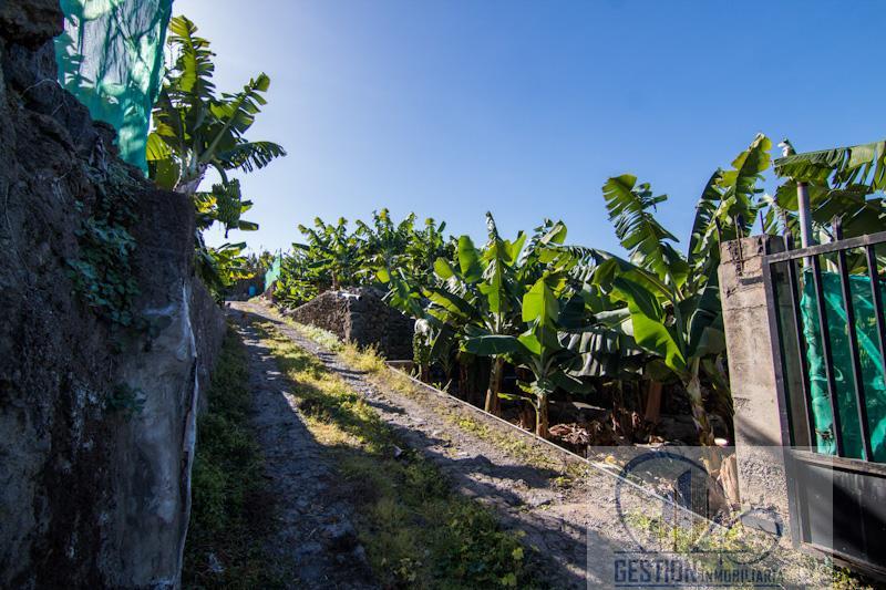 Finca en venta en Las Dehesas, Puerto de la Cruz