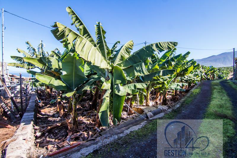 Finca en venta en Las Dehesas, Puerto de la Cruz