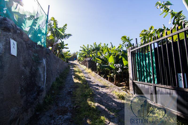 Entrada/Salida