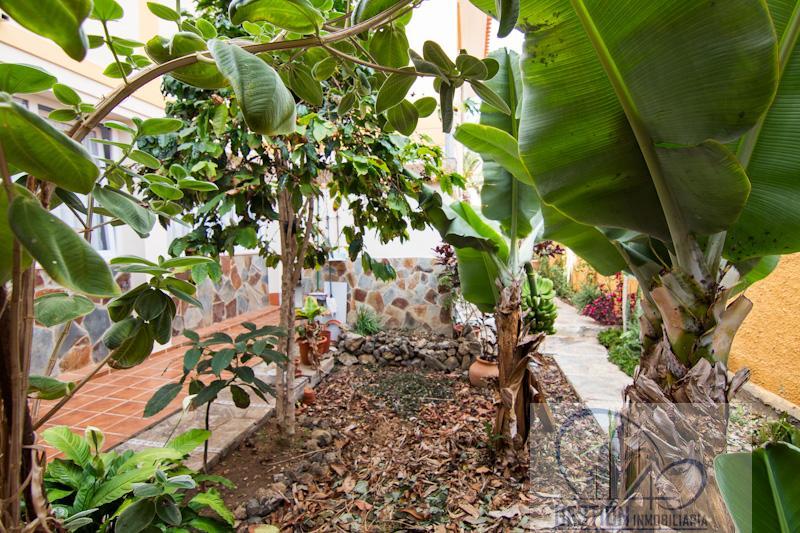 Jardín