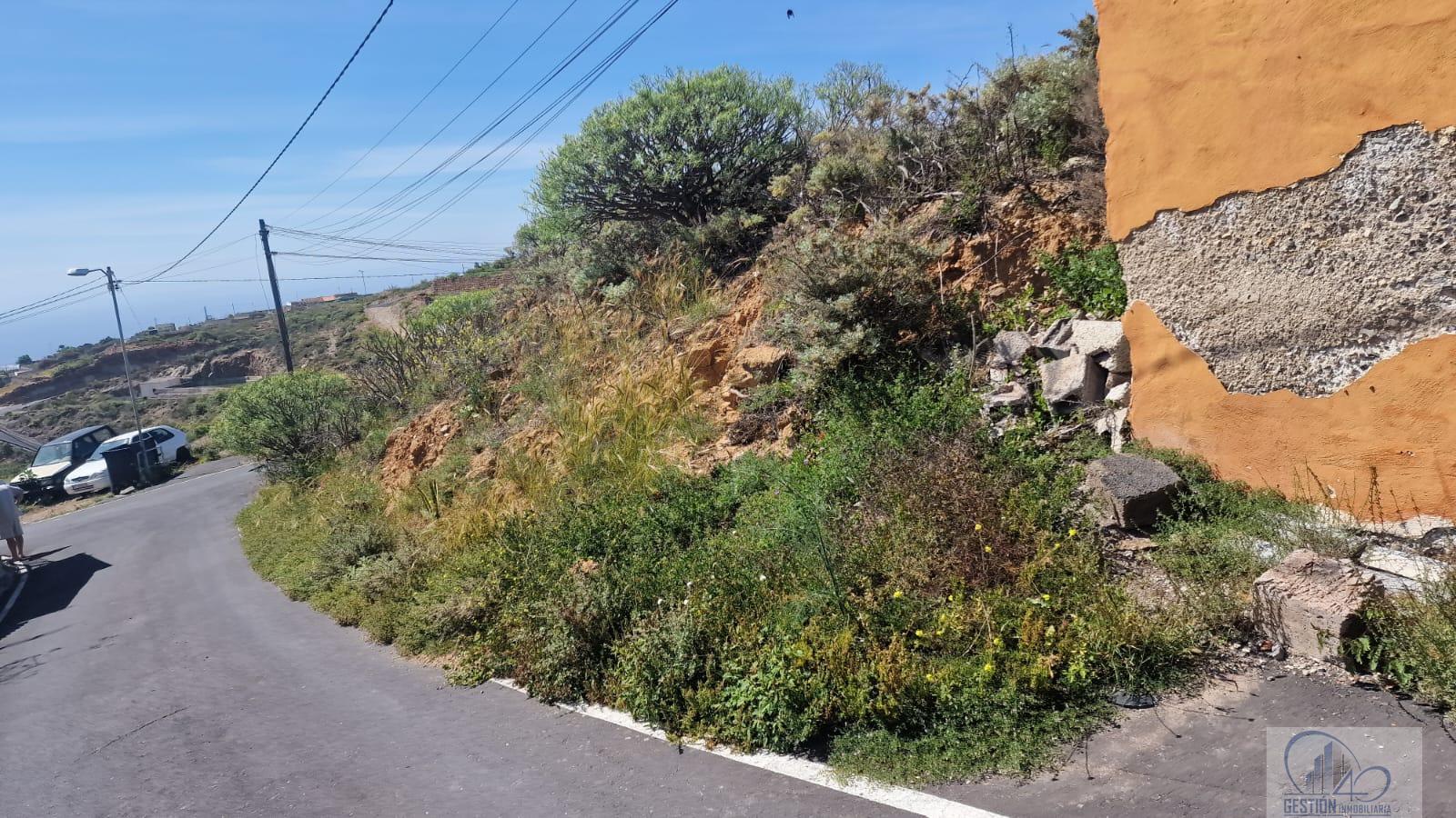 Terreno