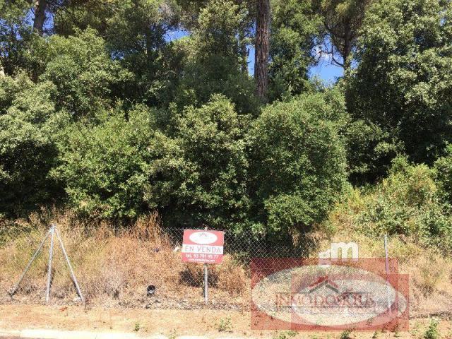 For sale of land in Dosrius