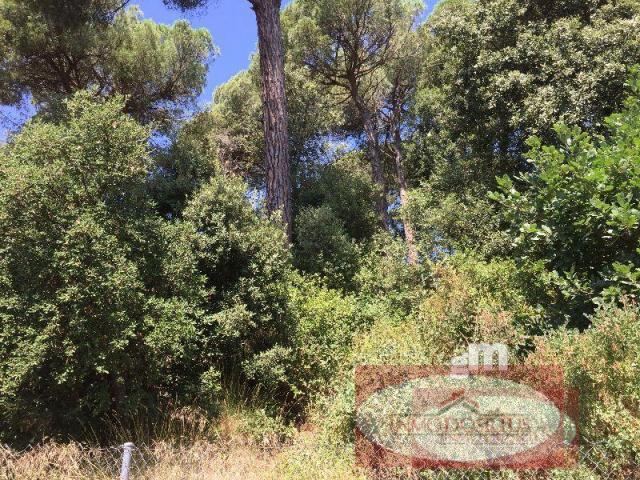 For sale of land in Dosrius