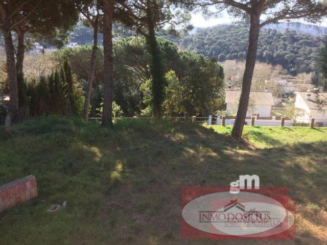 For sale of land in Dosrius