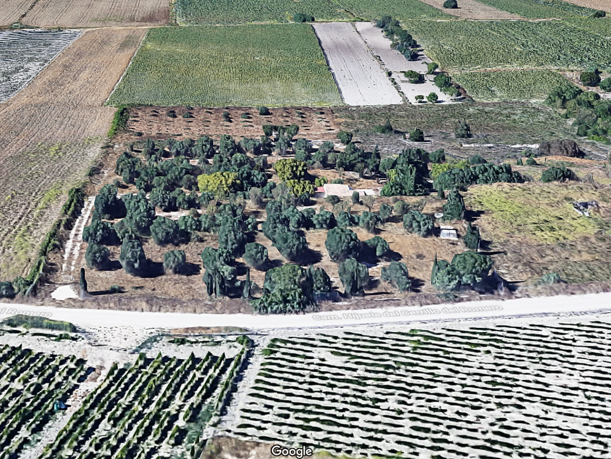 Venta de terreno en Chiclana de la Frontera