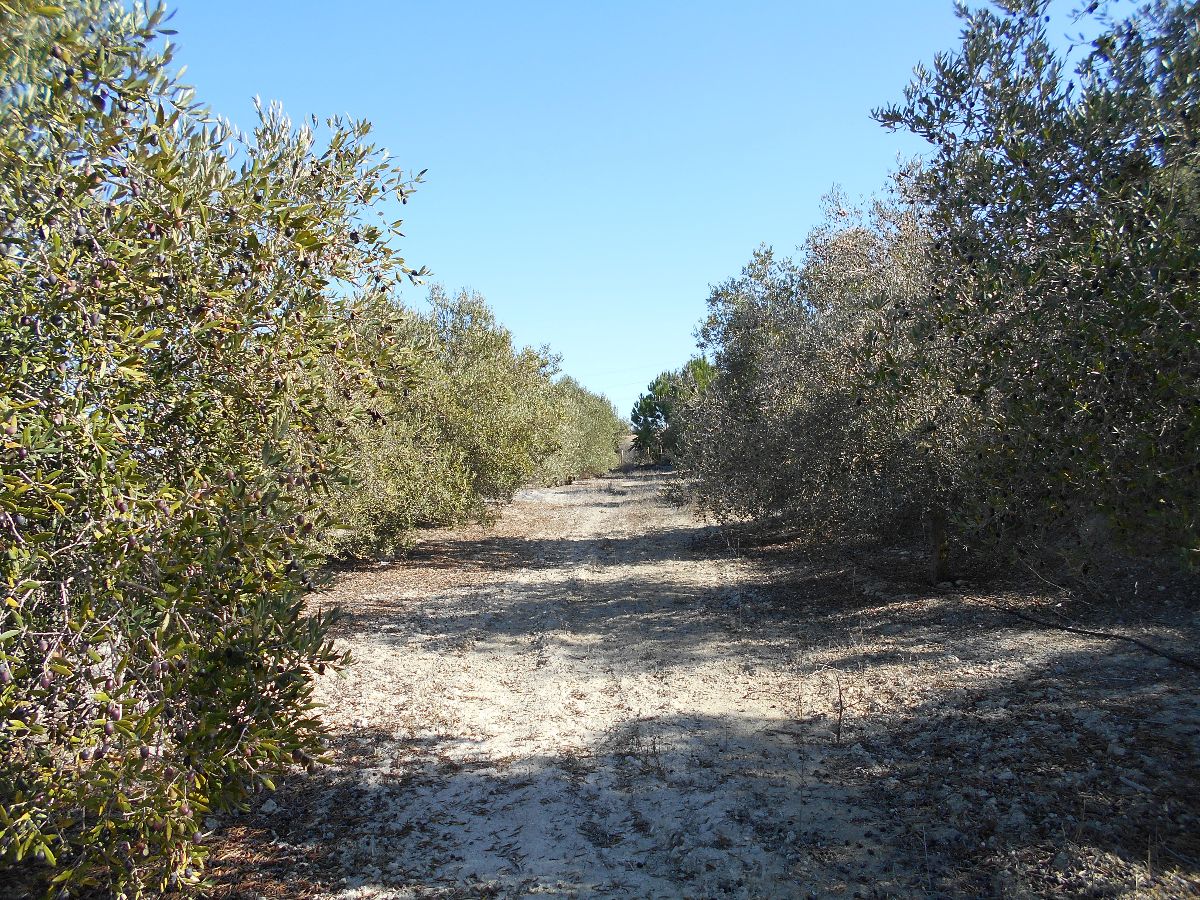 Venta de terreno en Chiclana de la Frontera