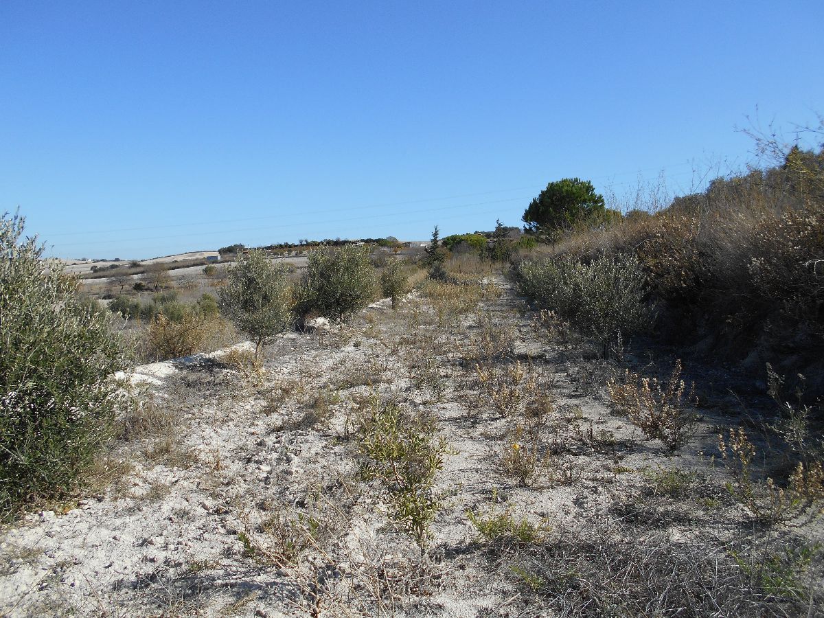 For sale of land in Chiclana de la Frontera