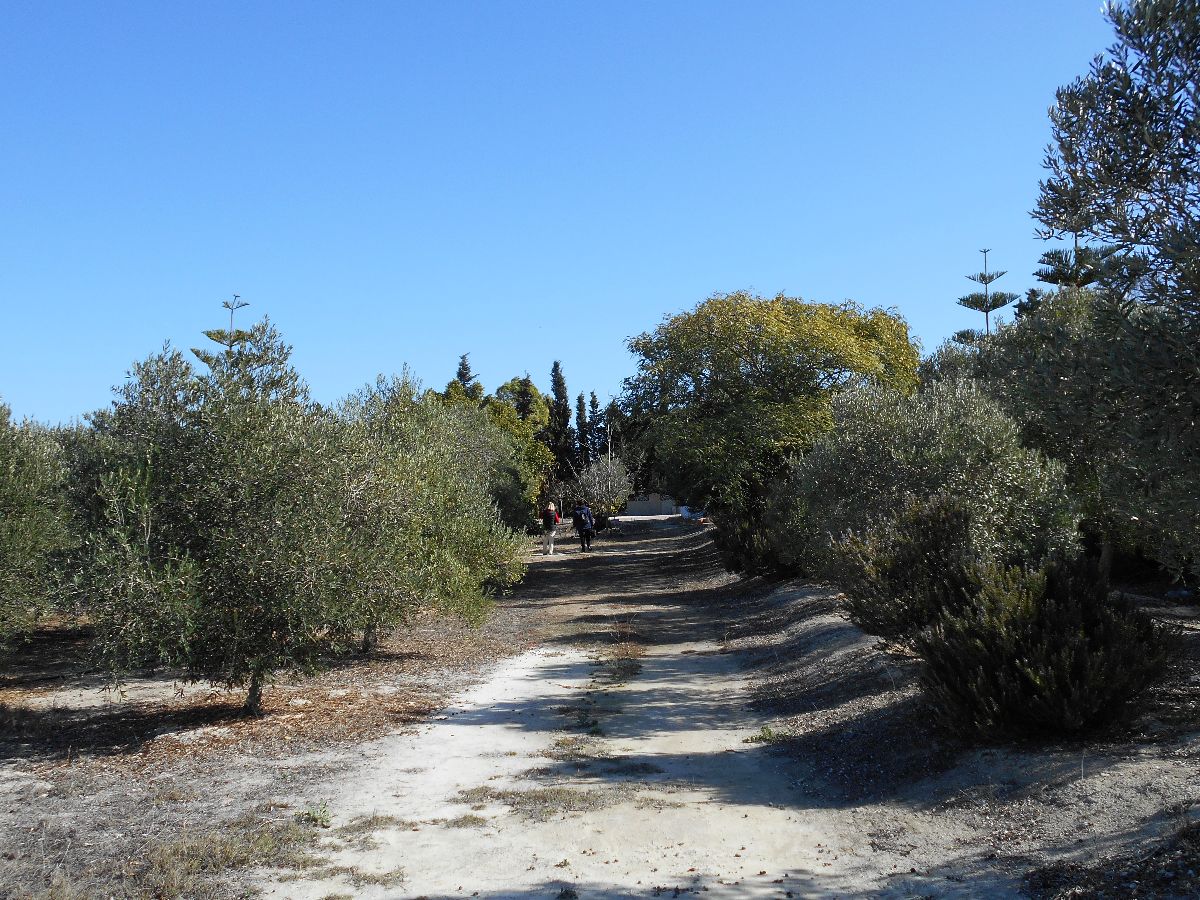 For sale of land in Chiclana de la Frontera