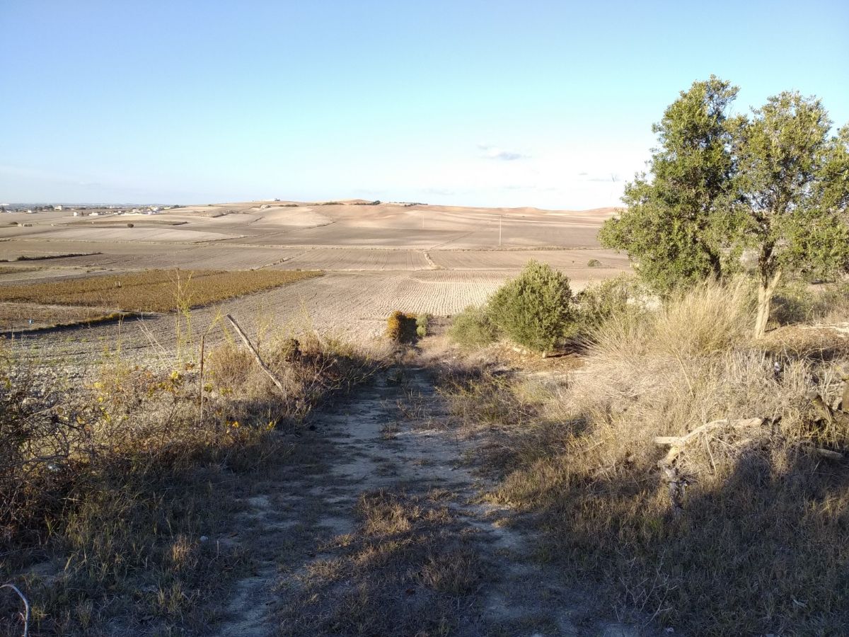 Venta de terreno en Chiclana de la Frontera