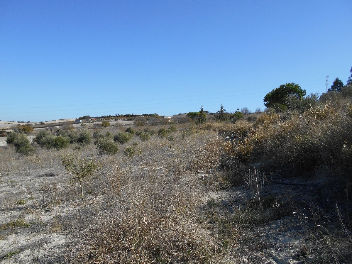 For sale of land in Chiclana de la Frontera