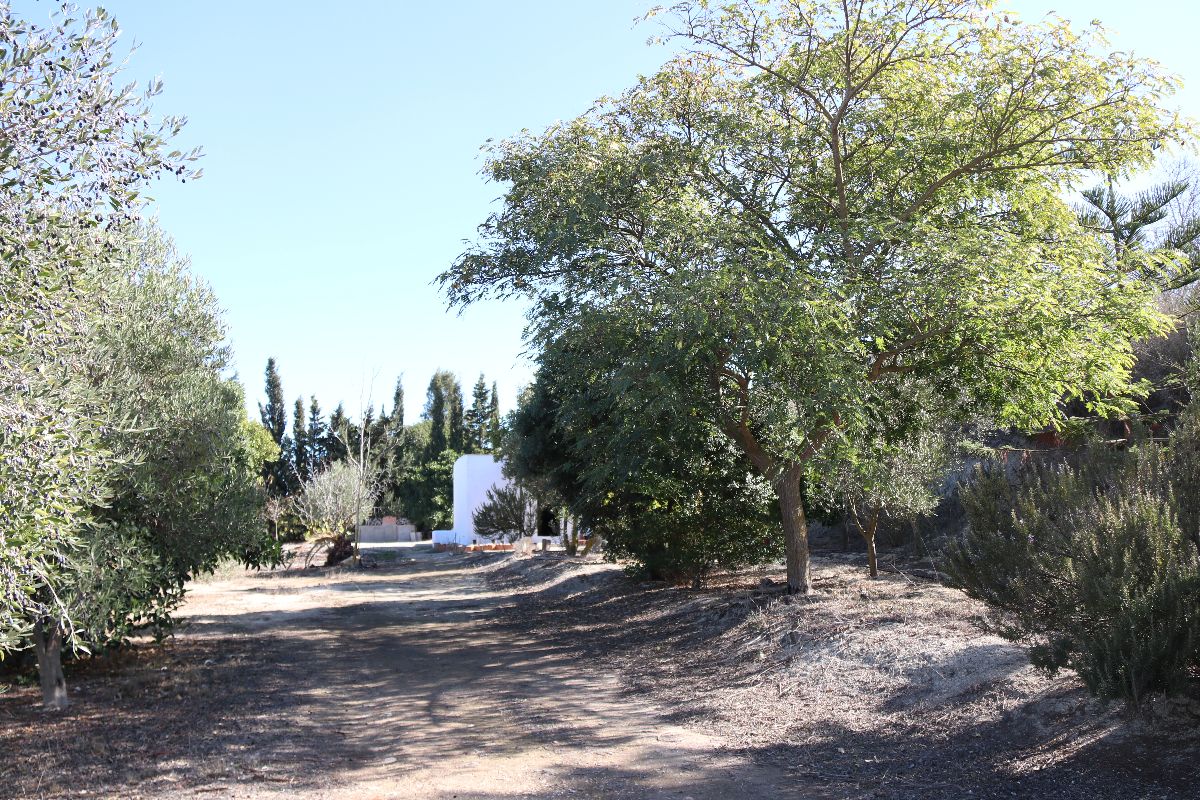 For sale of land in Chiclana de la Frontera