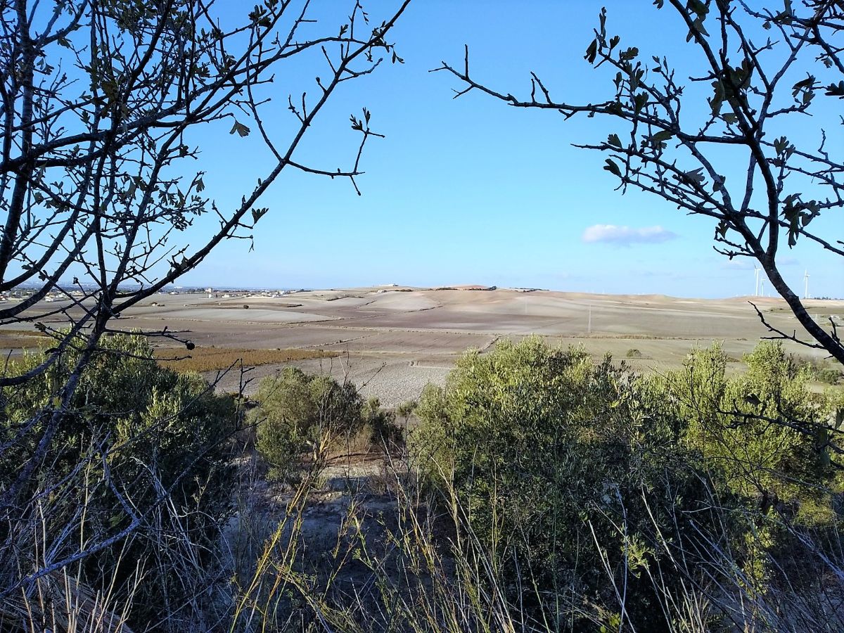 Venta de terreno en Chiclana de la Frontera