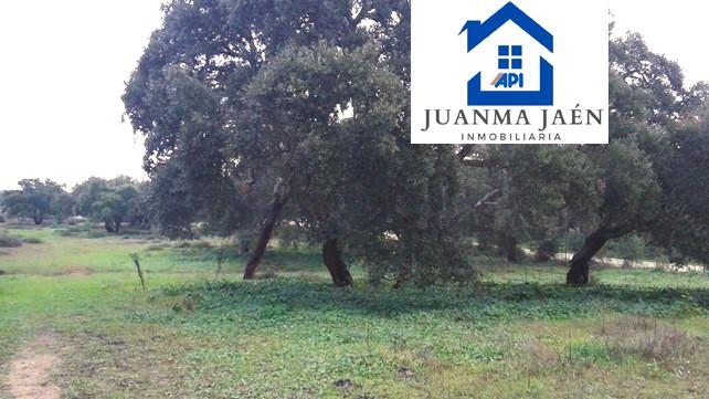 For sale of land in Chiclana de la Frontera