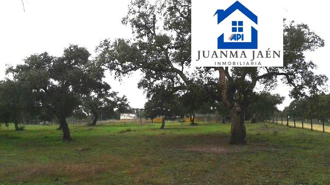 For sale of land in Chiclana de la Frontera