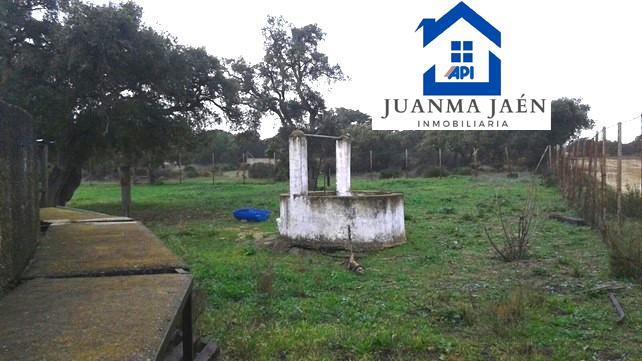 For sale of rural property in Chiclana de la Frontera