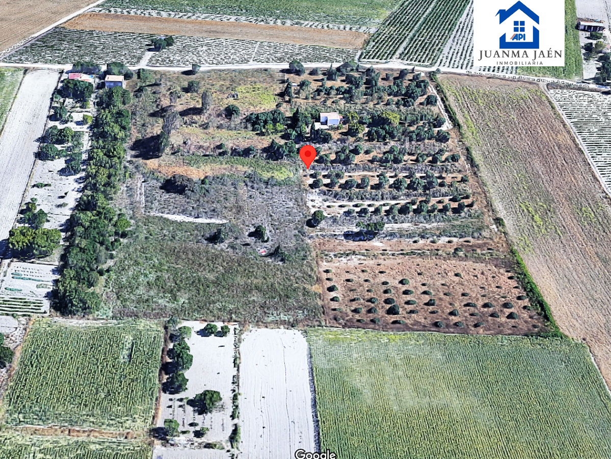 For sale of land in Chiclana de la Frontera