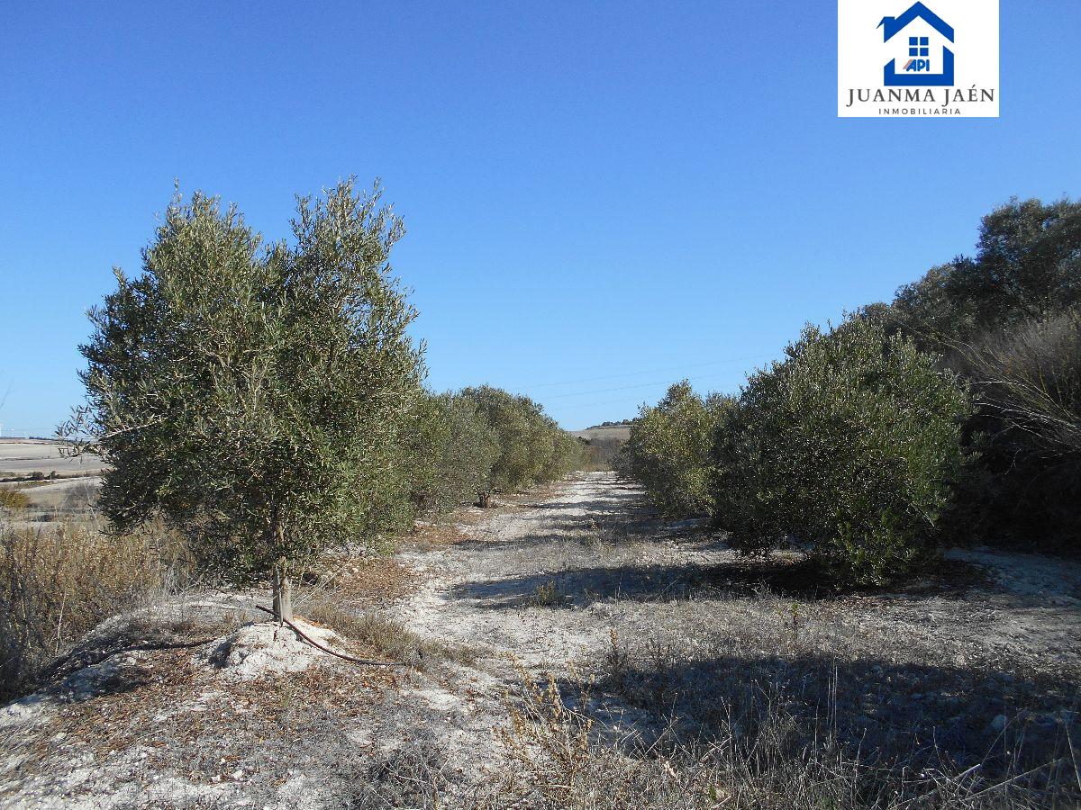 For sale of land in Chiclana de la Frontera