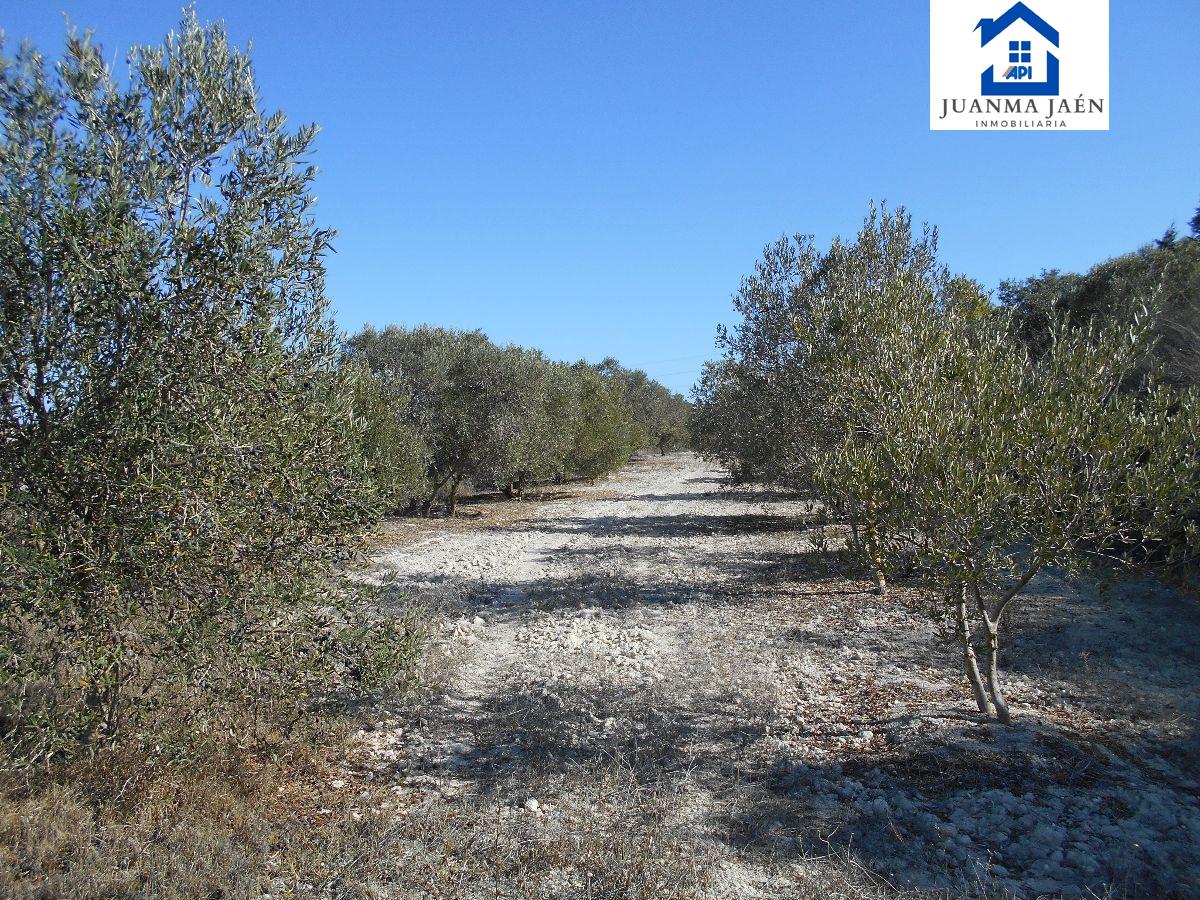 For sale of land in Chiclana de la Frontera