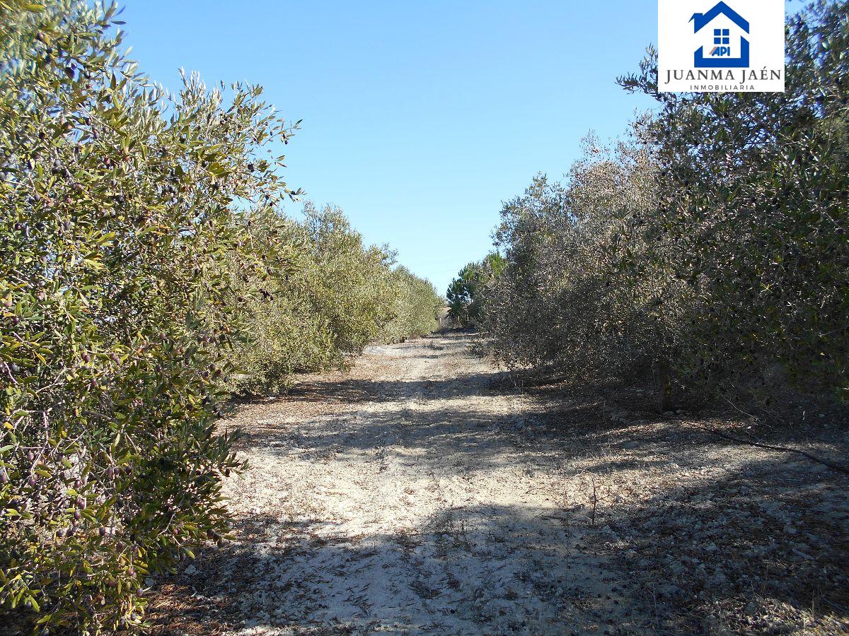 For sale of land in Chiclana de la Frontera