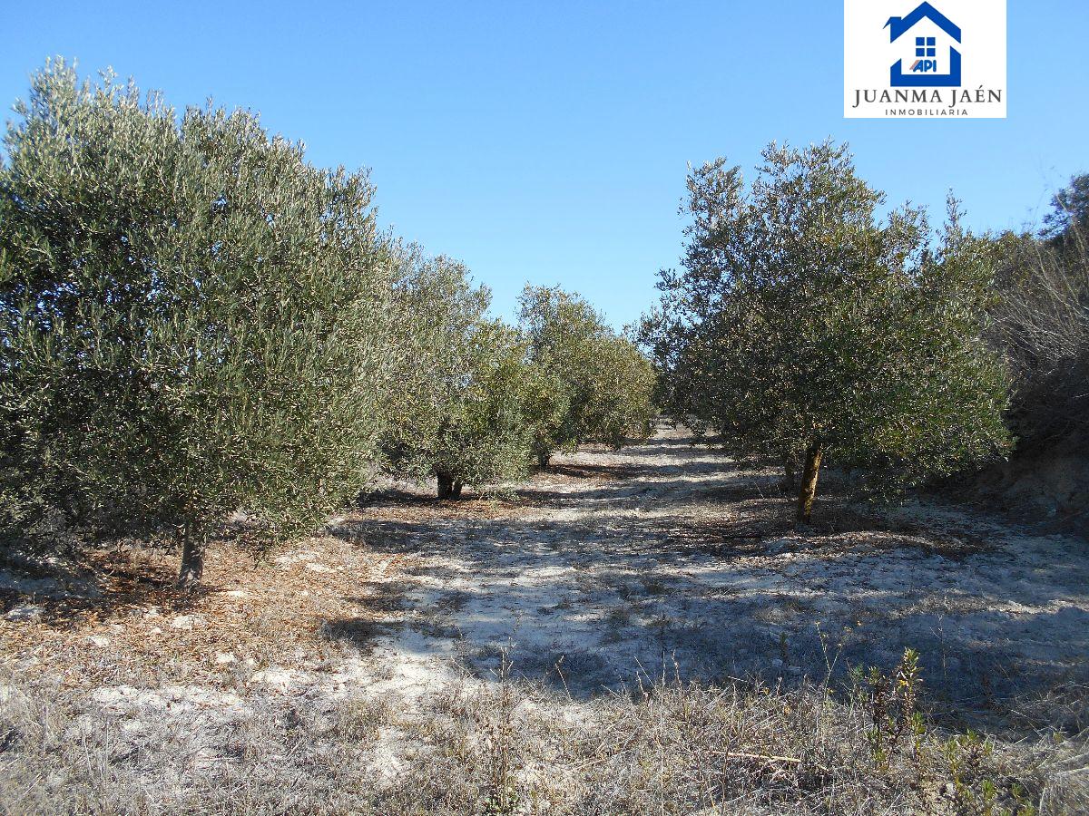 For sale of land in Chiclana de la Frontera