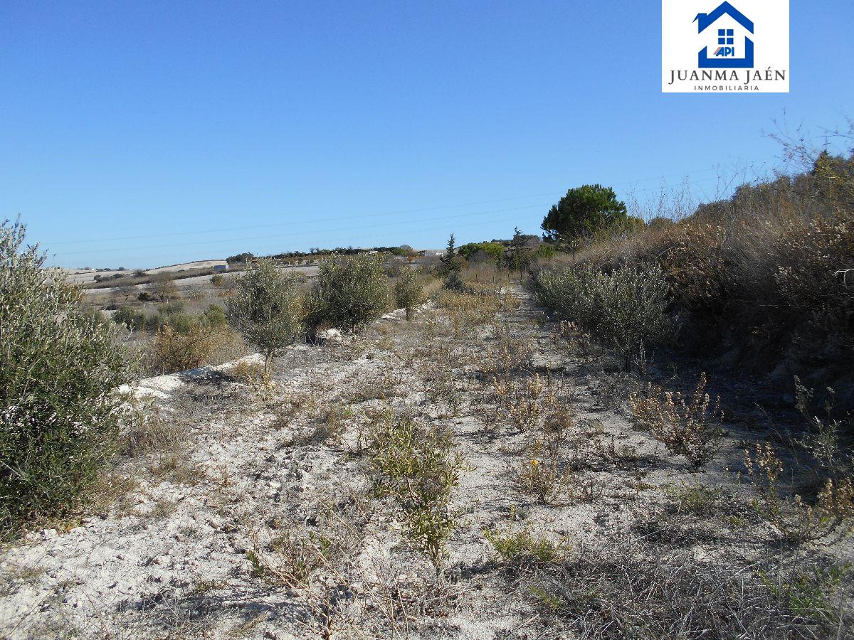 For sale of land in Chiclana de la Frontera