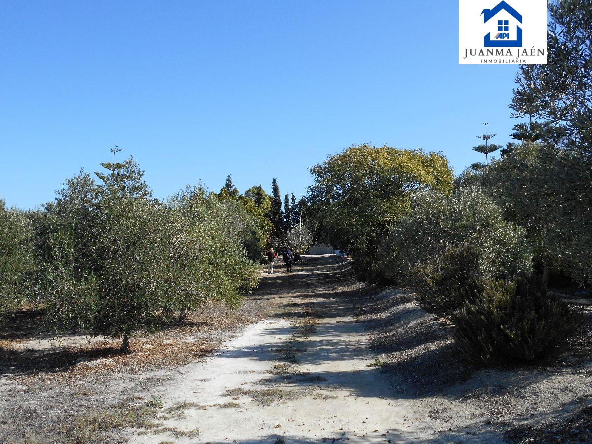 For sale of land in Chiclana de la Frontera