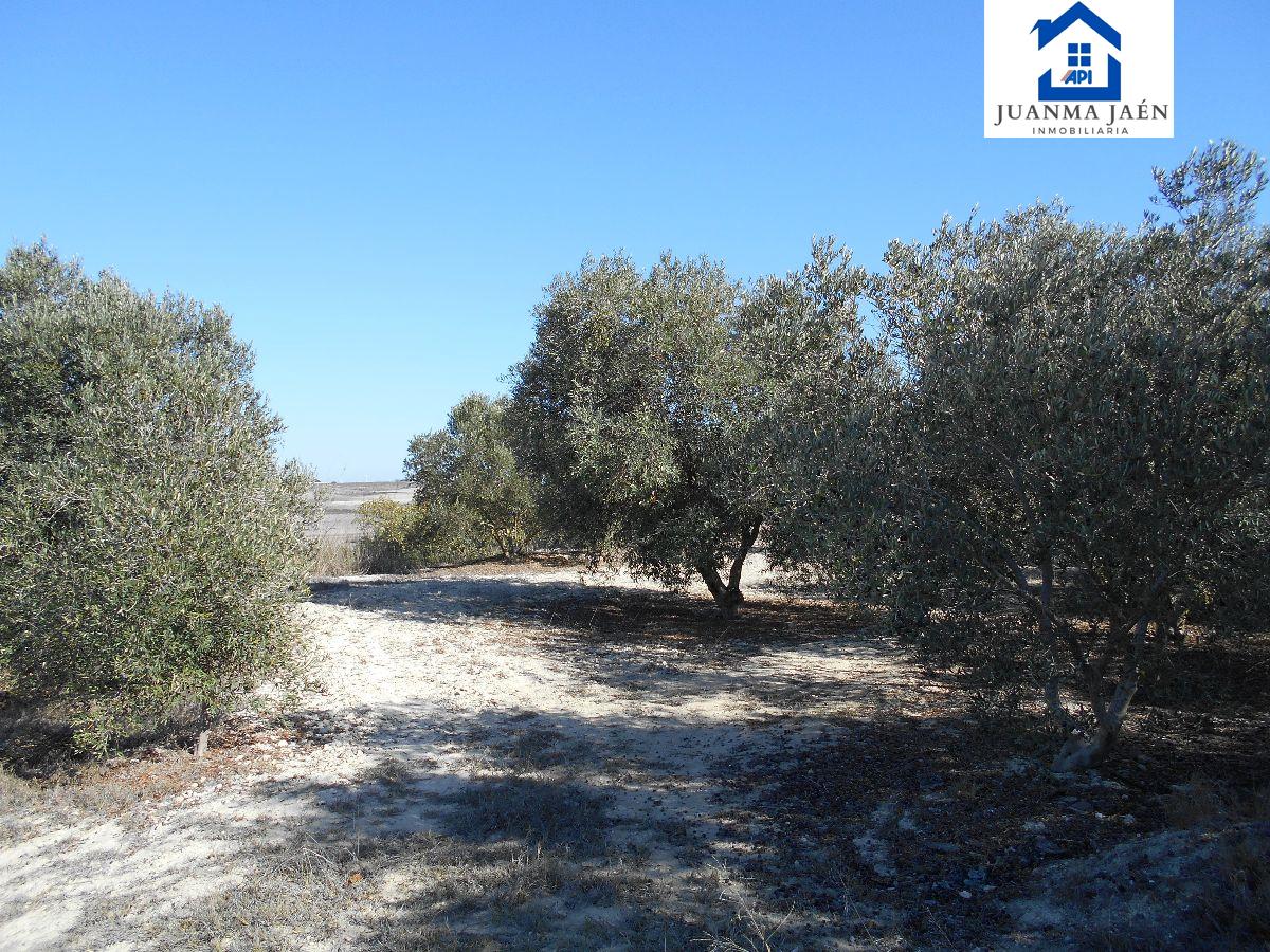 For sale of land in Chiclana de la Frontera