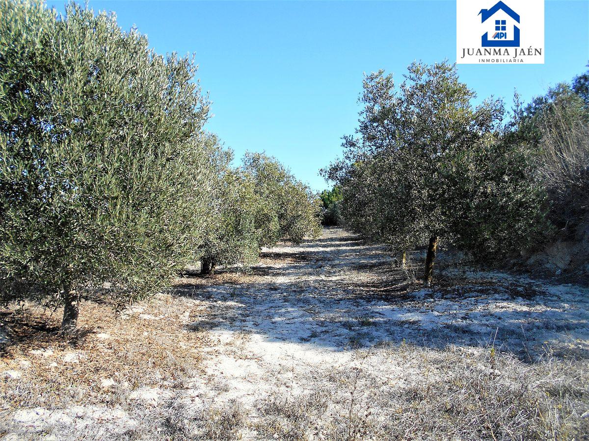 Venta de terreno en Chiclana de la Frontera