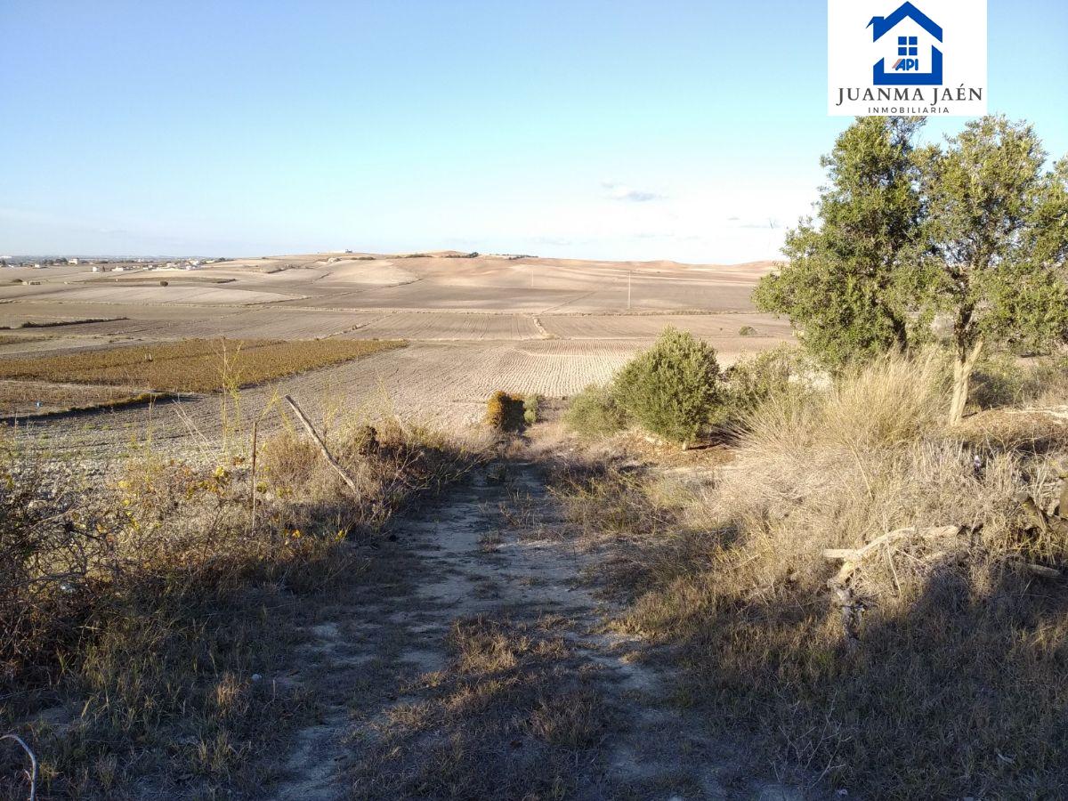 For sale of land in Chiclana de la Frontera