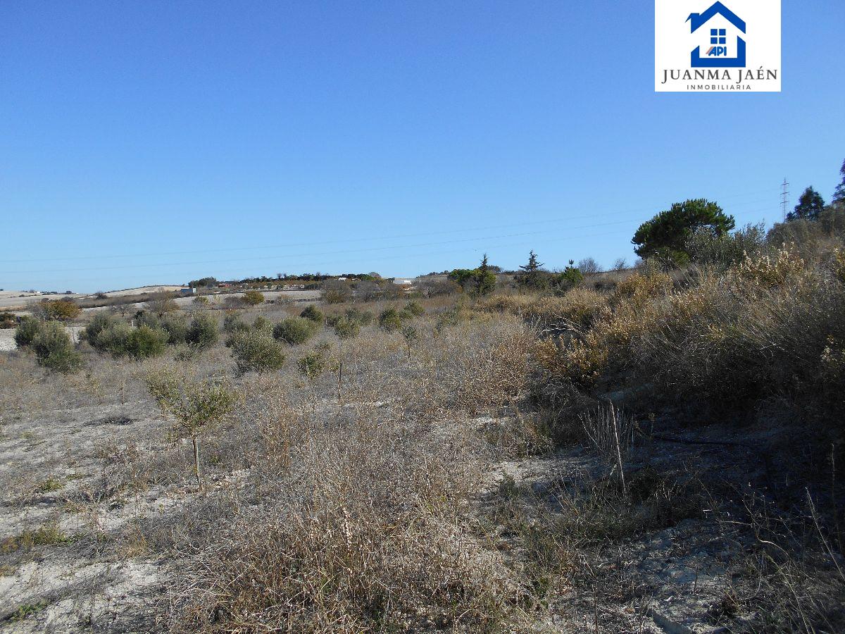 For sale of land in Chiclana de la Frontera