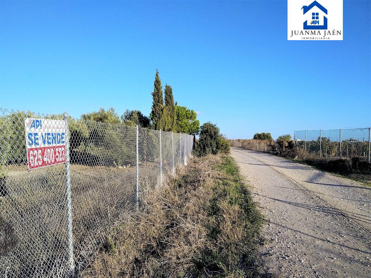 For sale of land in Chiclana de la Frontera