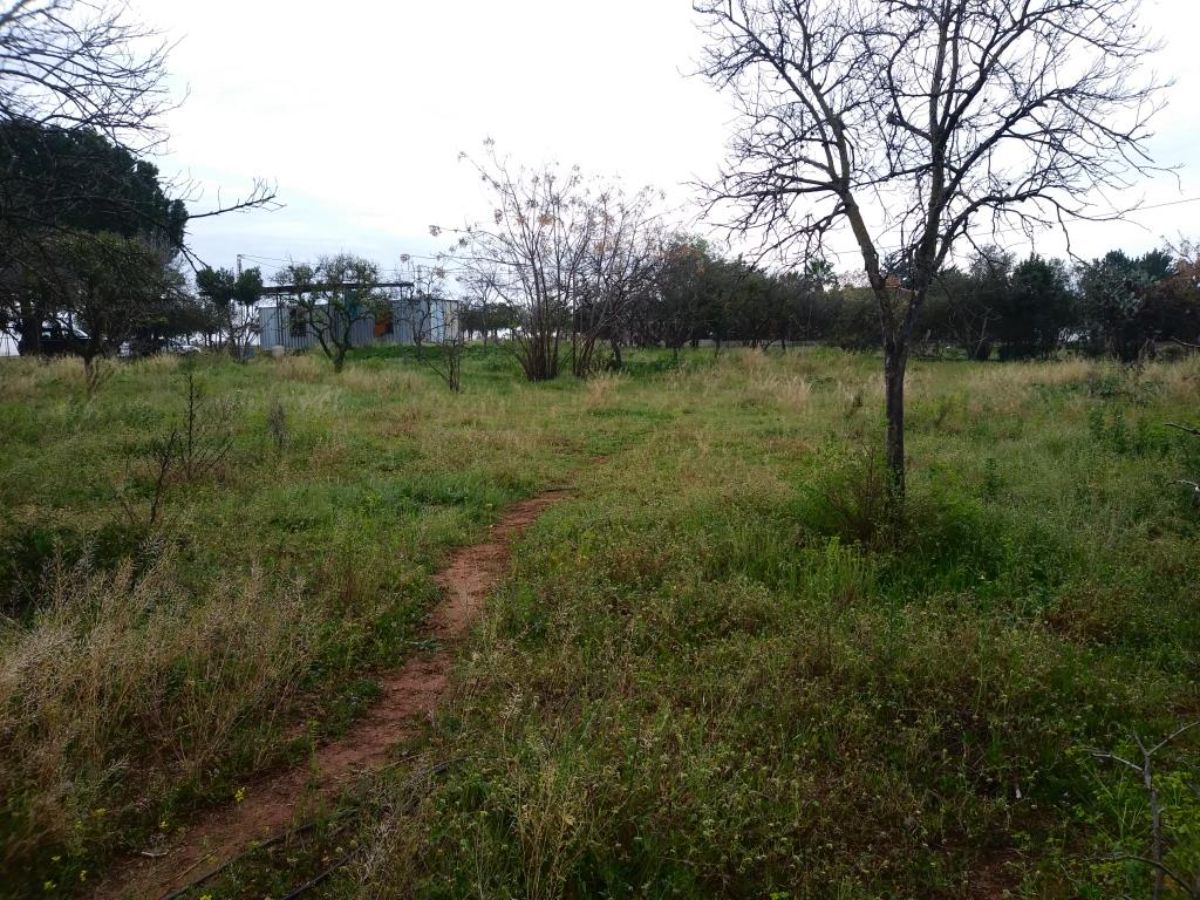 For sale of land in Dos Hermanas