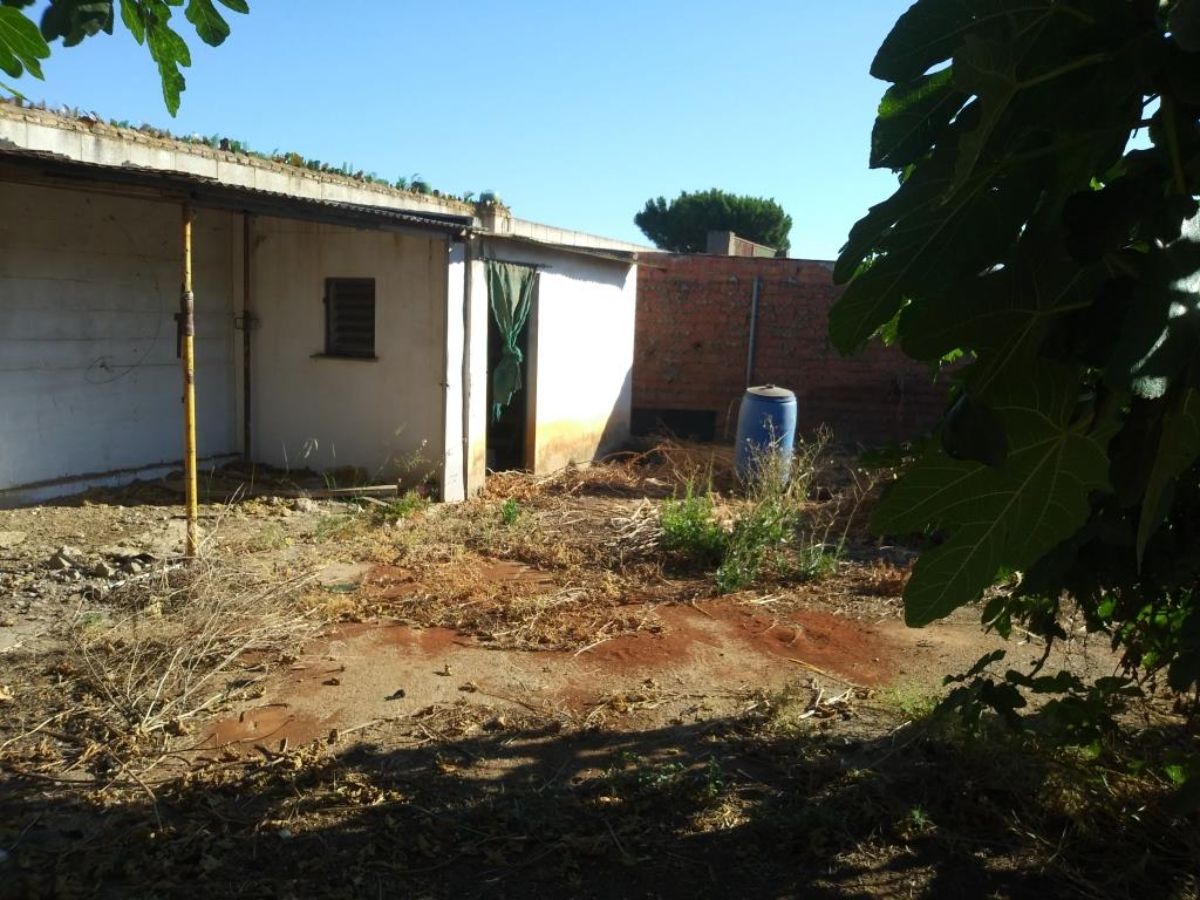 For sale of rural property in Dos Hermanas