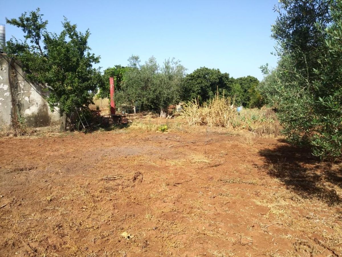 For sale of rural property in Dos Hermanas