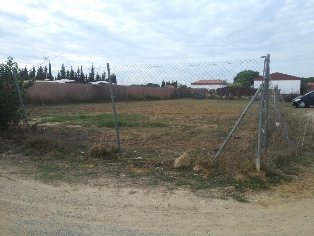 For sale of land in Los Palacios y Villafranca