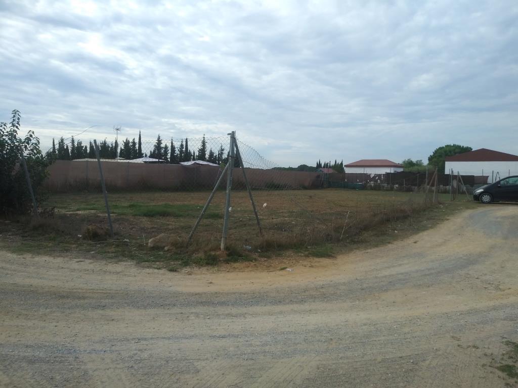 For sale of land in Los Palacios y Villafranca