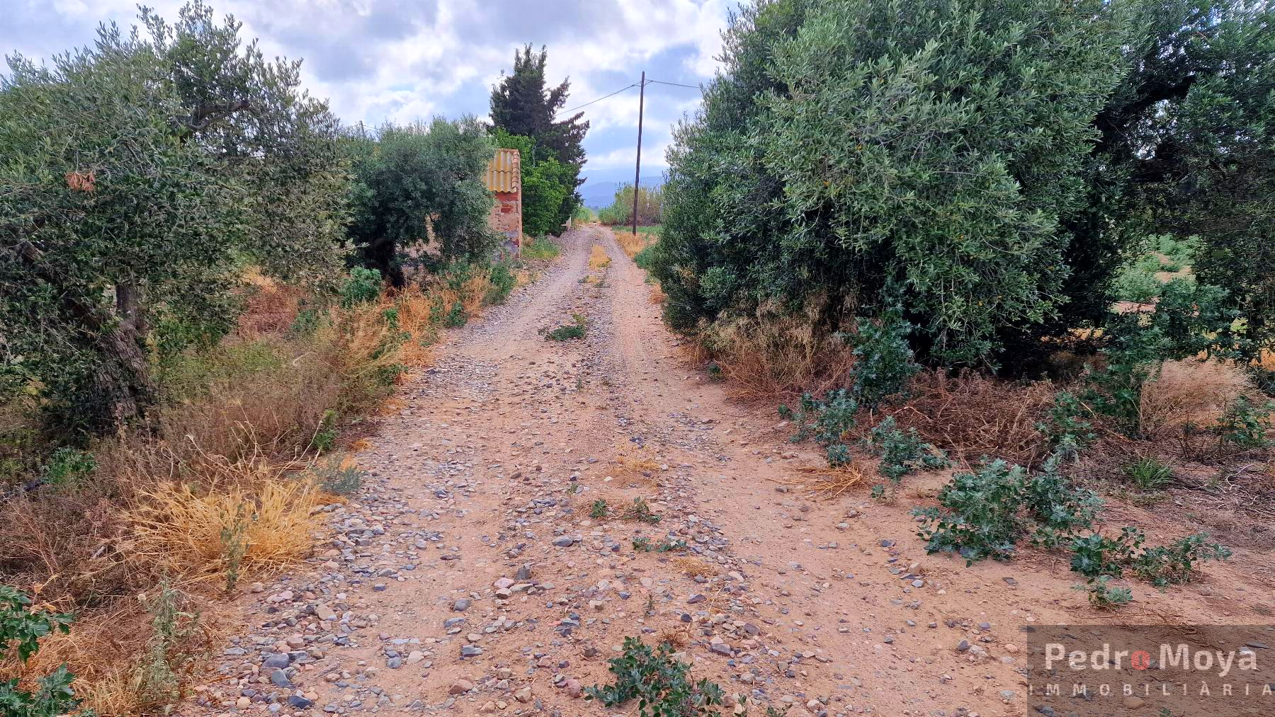 Venta de finca rústica en Mont-Roig del Camp