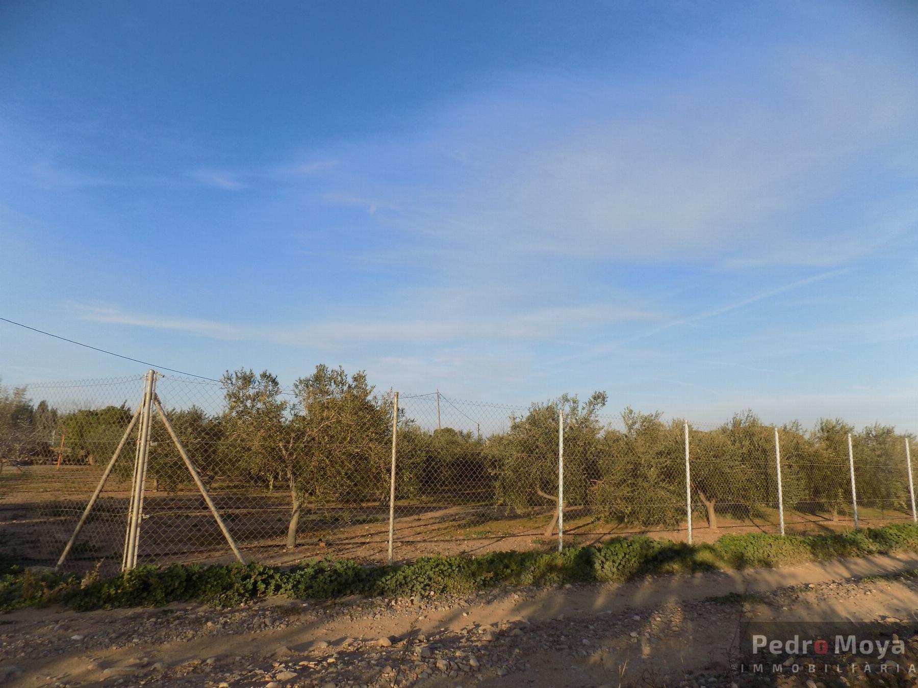 Venta de finca rústica en Mont-Roig del Camp