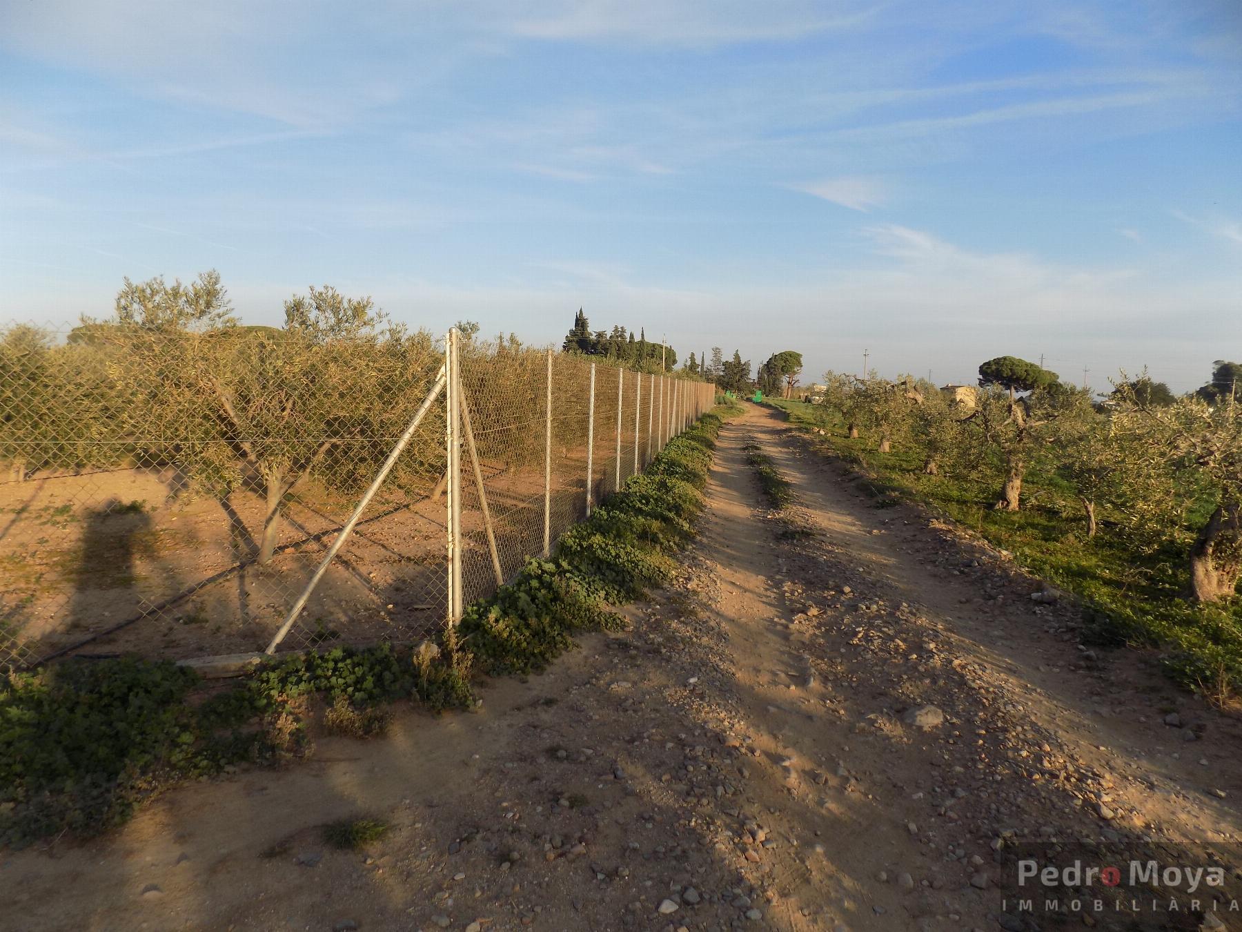 Venta de finca rústica en Mont-Roig del Camp